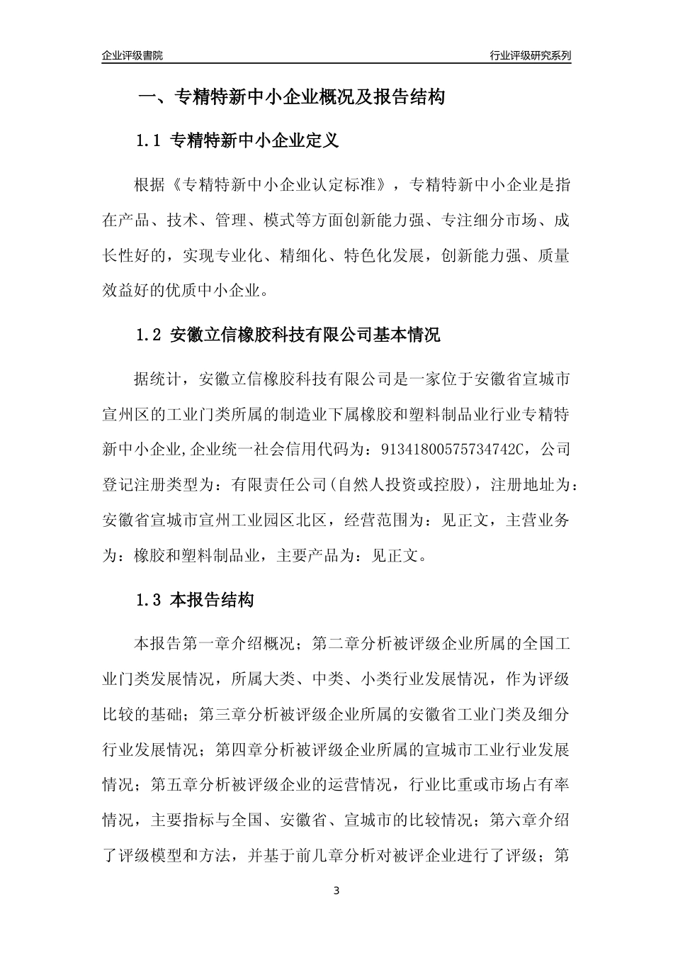 [专精特新]安徽立信橡胶科技有限公司行业竞争力评级分析报告(2023版)_第3页