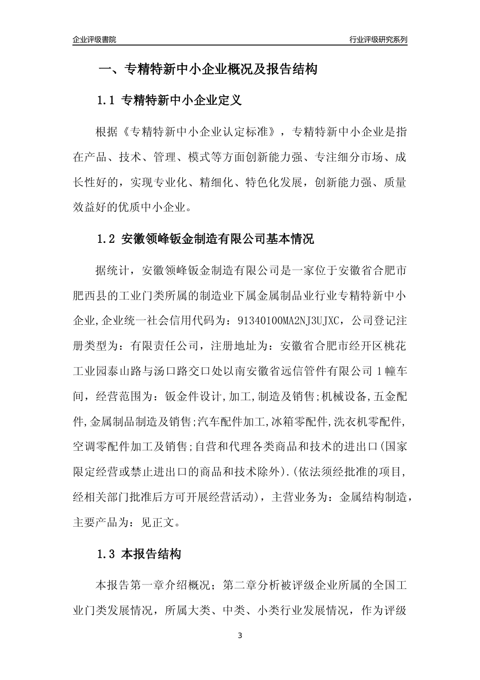 [专精特新]安徽领峰钣金制造有限公司行业竞争力评级分析报告(2023版)_第3页