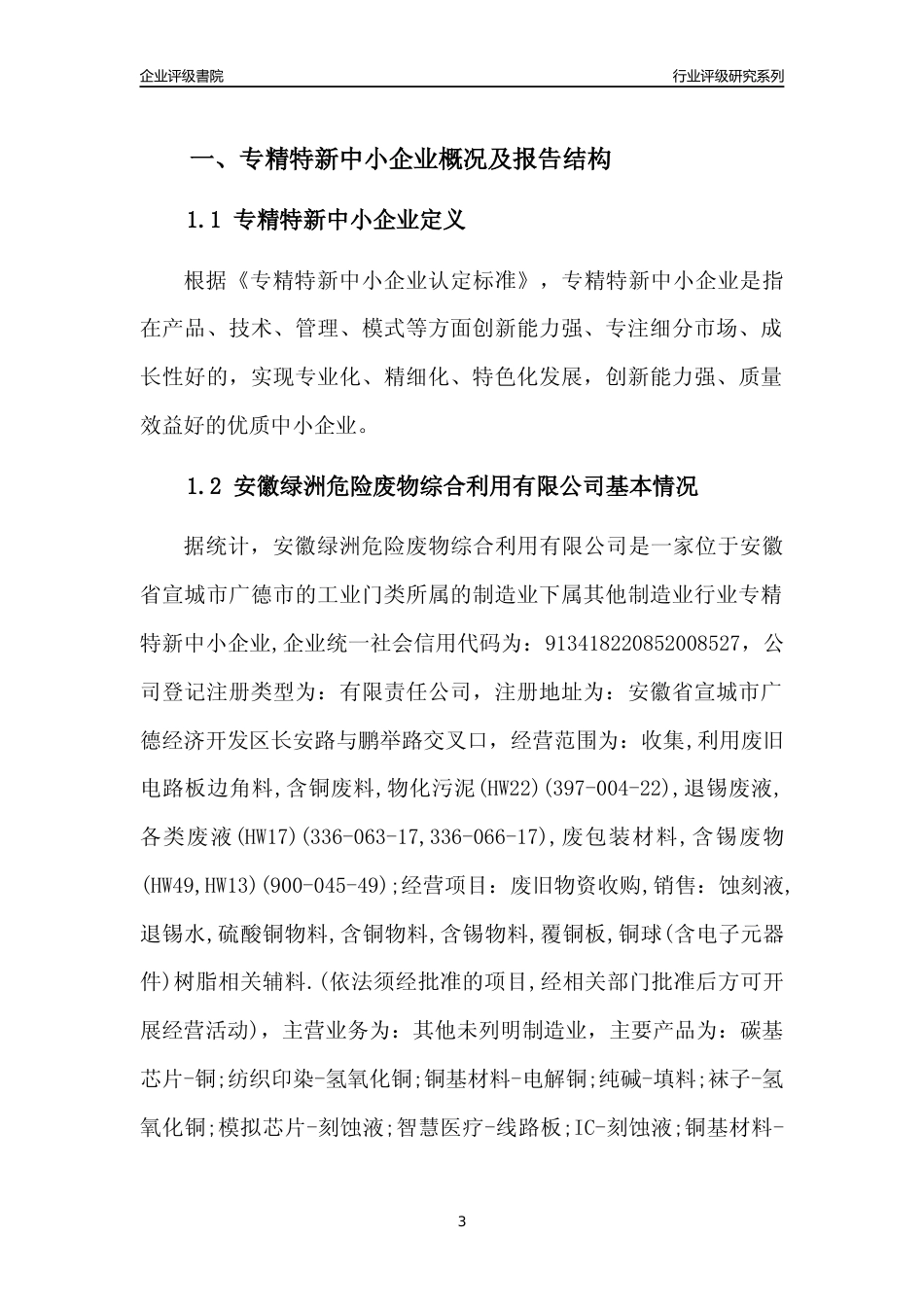 [专精特新]安徽绿洲危险废物综合利用有限公司行业竞争力评级分析报告(2023版)_第3页