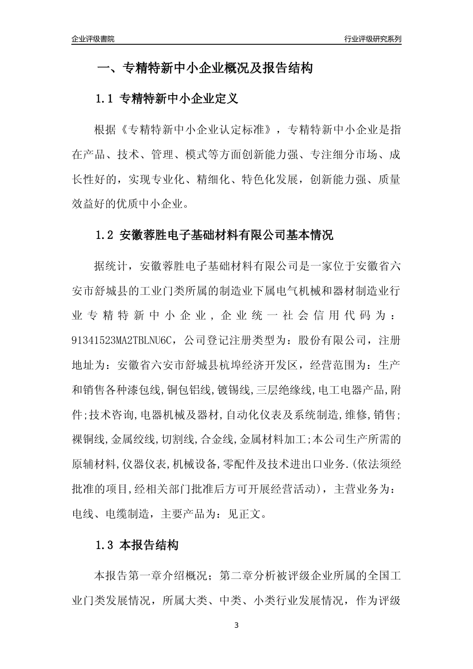 [专精特新]安徽蓉胜电子基础材料有限公司行业竞争力评级分析报告(2023版)_第3页