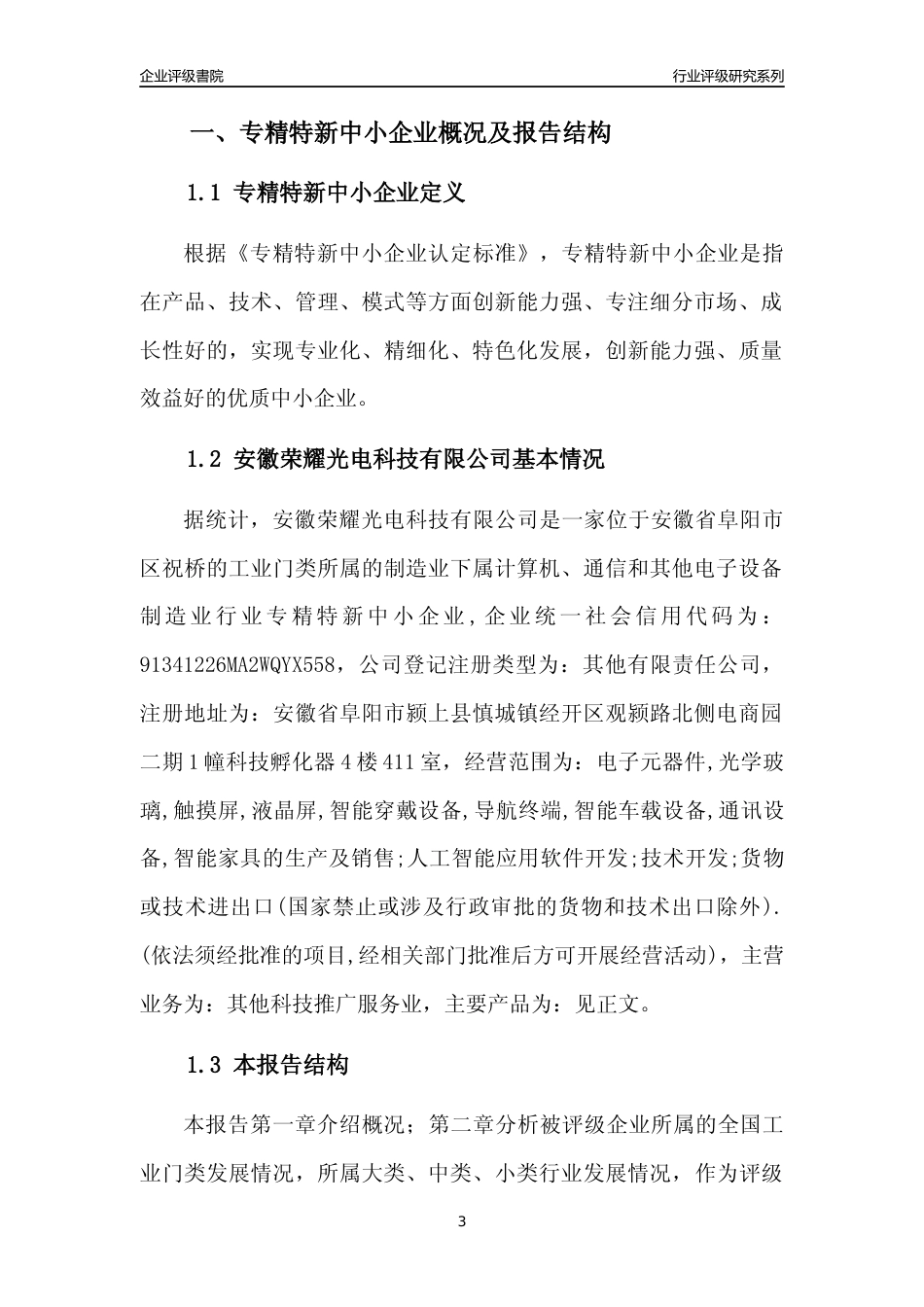 [专精特新]安徽荣耀光电科技有限公司行业竞争力评级分析报告(2023版)_第3页