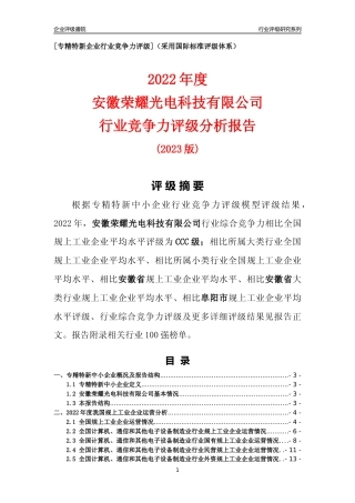 [专精特新]安徽荣耀光电科技有限公司行业竞争力评级分析报告(2023版)