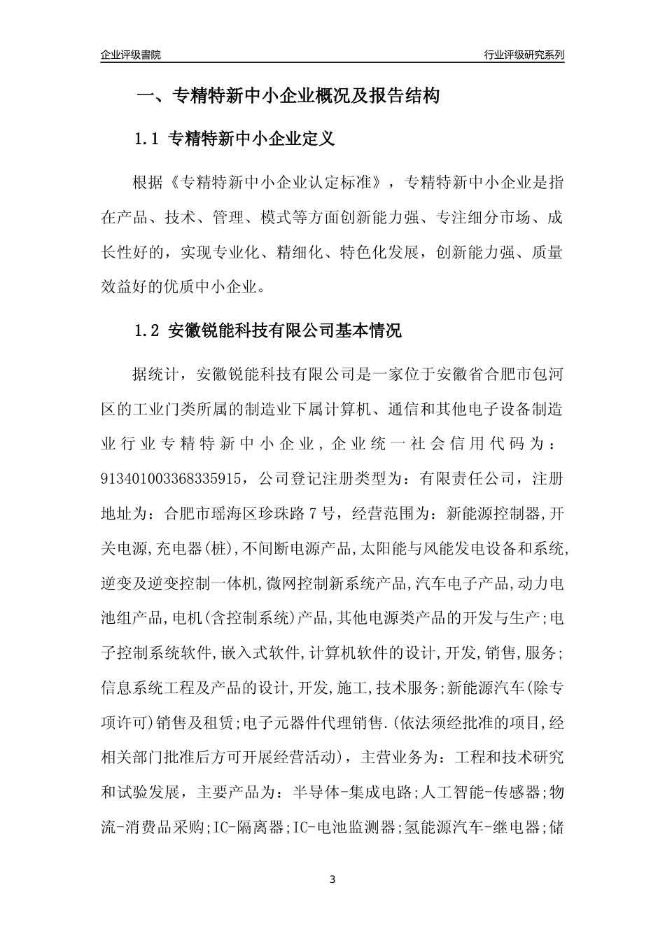 [专精特新]安徽锐能科技有限公司行业竞争力评级分析报告(2023版)_第3页