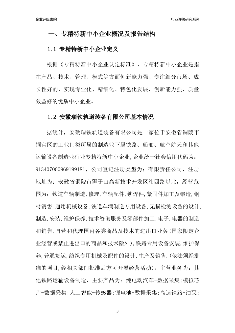 [专精特新]安徽瑞铁轨道装备有限公司行业竞争力评级分析报告(2023版)_第3页