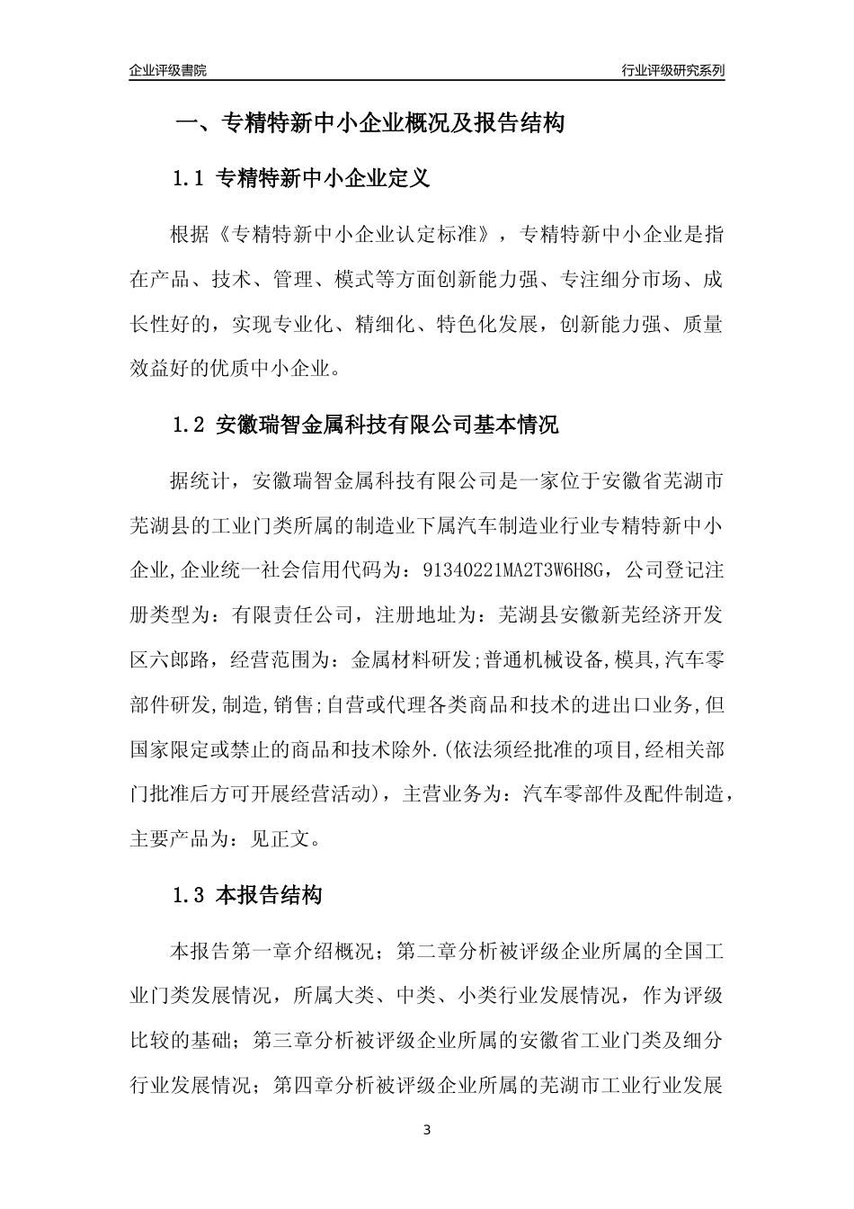 [专精特新]安徽瑞智金属科技有限公司行业竞争力评级分析报告(2023版)_第3页