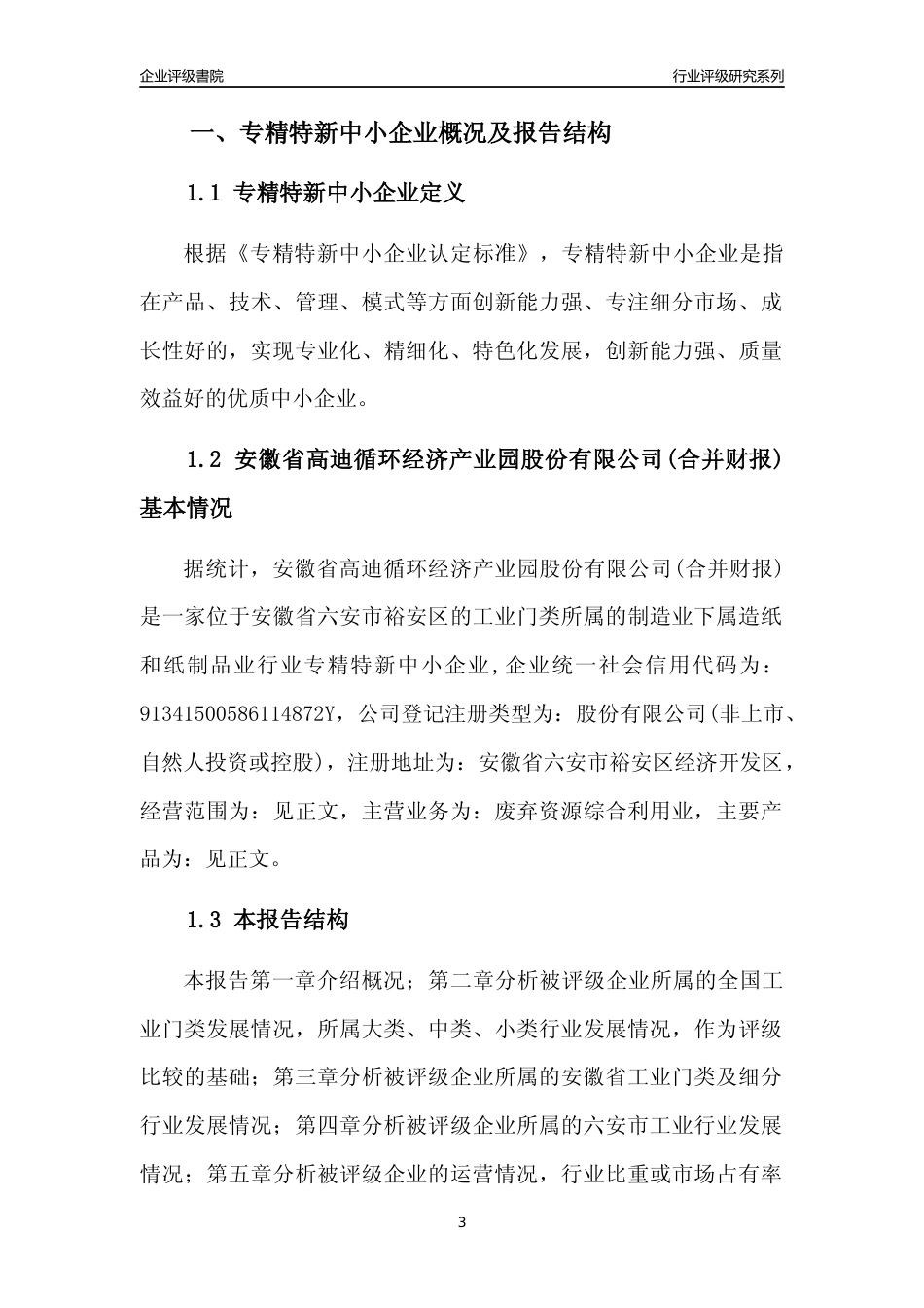 [专精特新]安徽省高迪循环经济产业园股份有限公司(合并财报)行业竞争力评级分析报告(2023版)_第3页