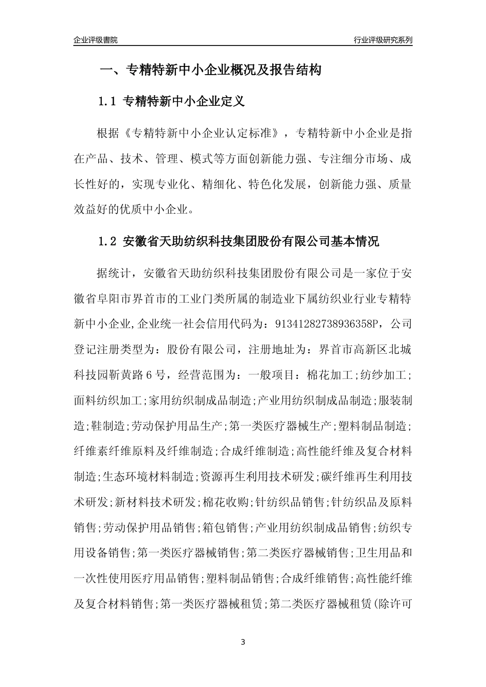 [专精特新]安徽省天助纺织科技集团股份有限公司行业竞争力评级分析报告(2023版)_第3页