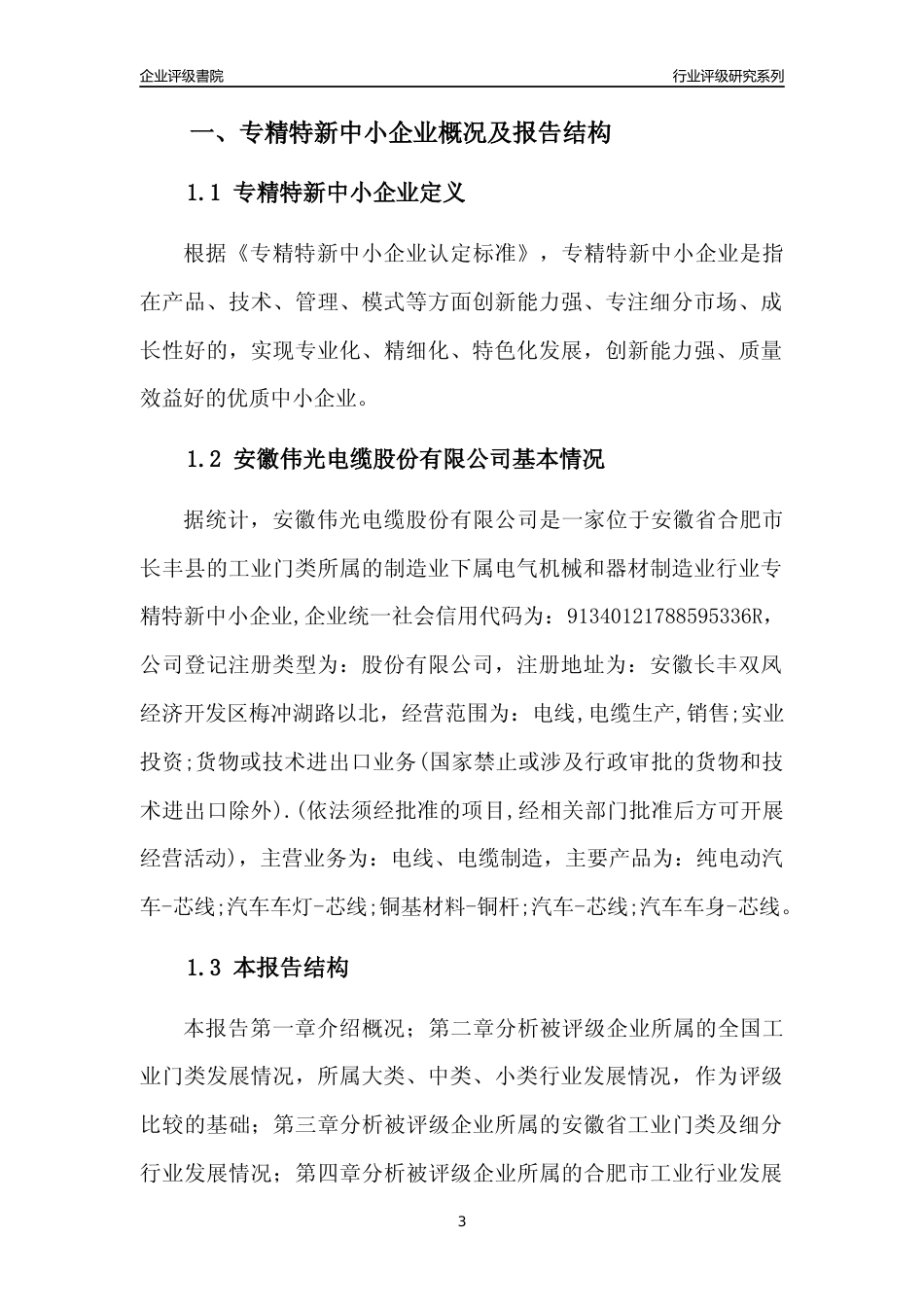 [专精特新]安徽伟光电缆股份有限公司行业竞争力评级分析报告(2023版)_第3页