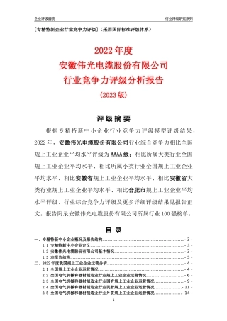 [专精特新]安徽伟光电缆股份有限公司行业竞争力评级分析报告(2023版)