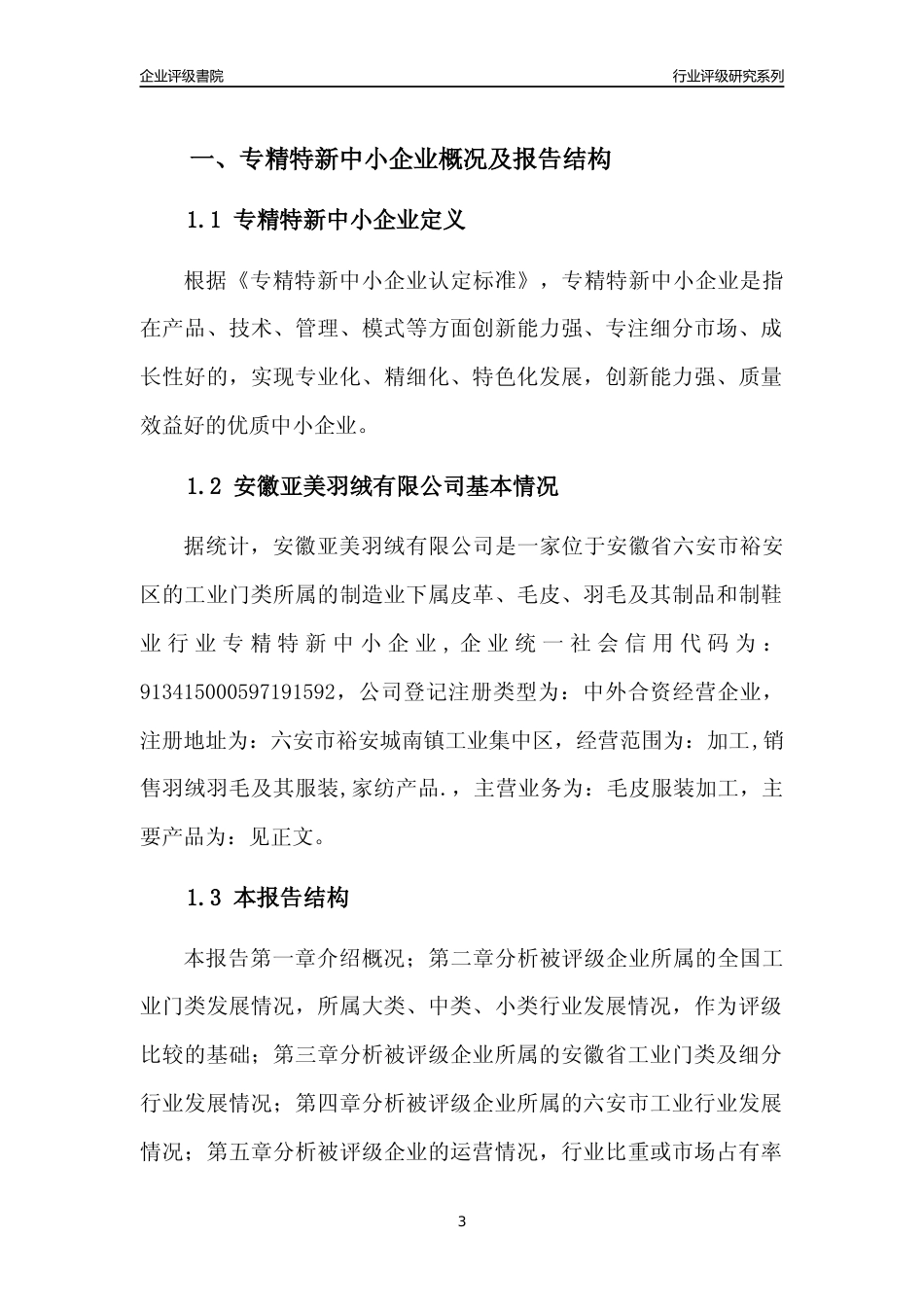 [专精特新]安徽亚美羽绒有限公司行业竞争力评级分析报告(2023版)_第3页