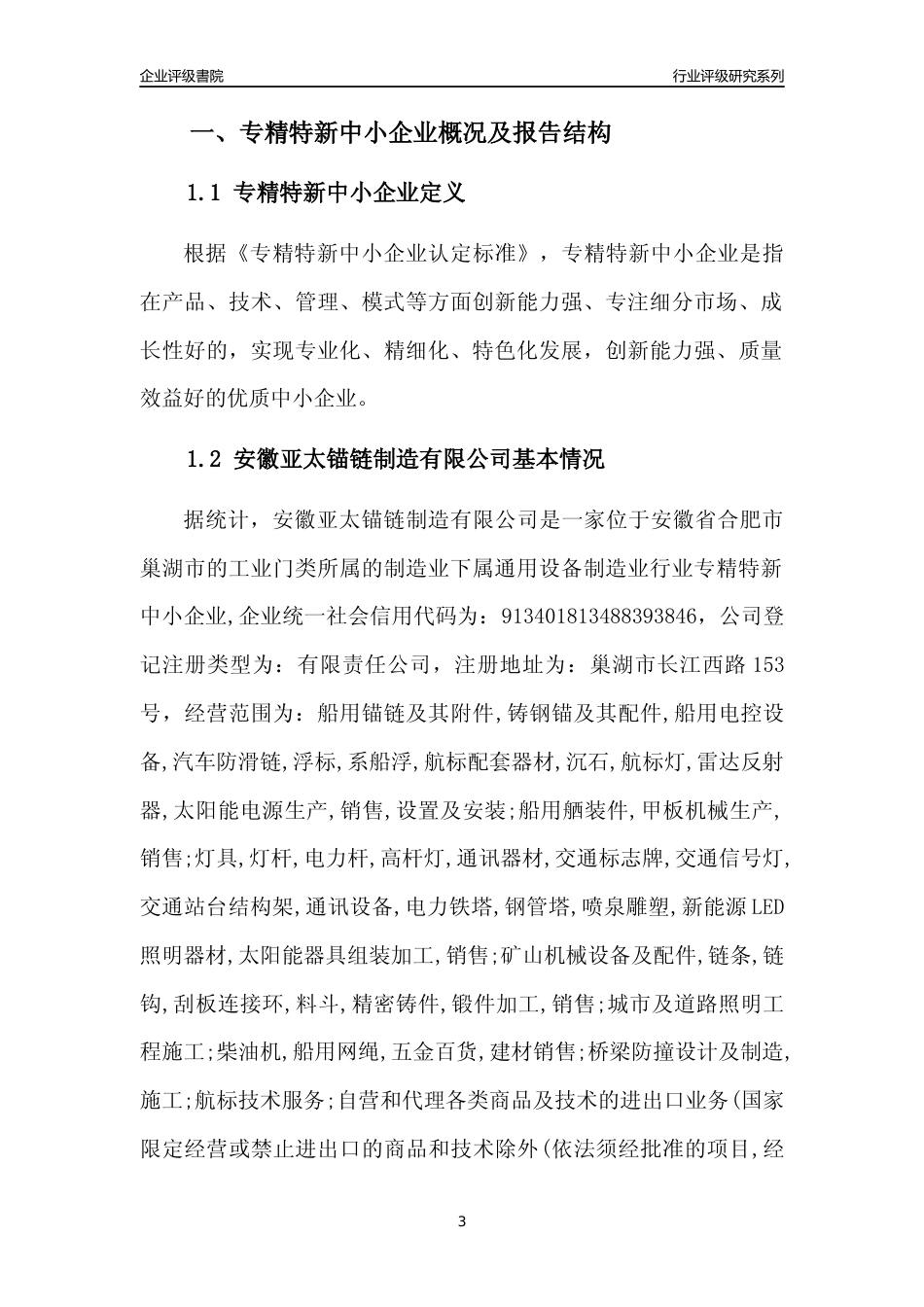 [专精特新]安徽亚太锚链制造有限公司行业竞争力评级分析报告(2023版)_第3页