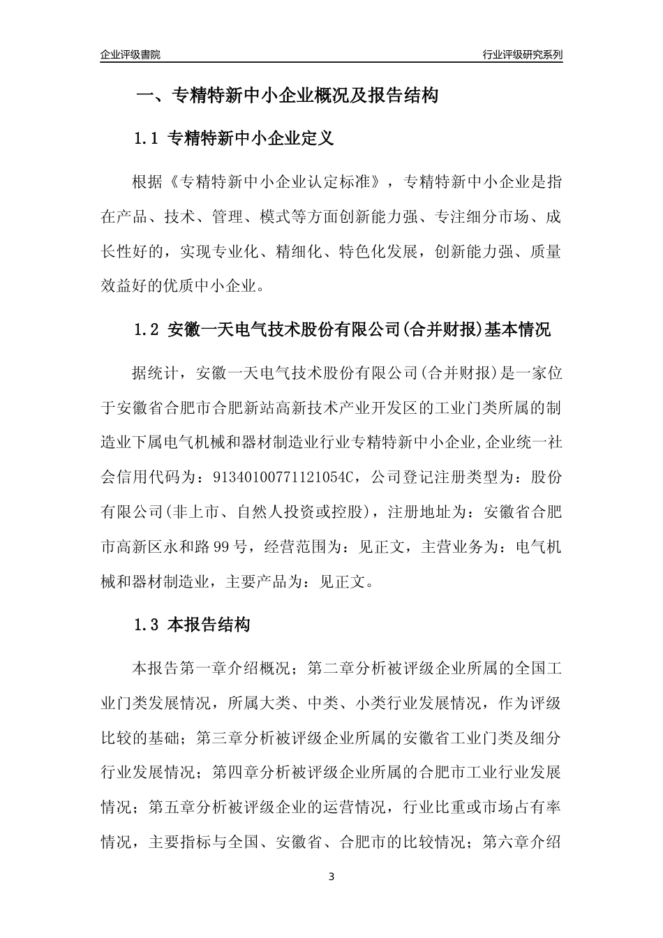 [专精特新]安徽一天电气技术股份有限公司(合并财报)行业竞争力评级分析报告(2023版)_第3页
