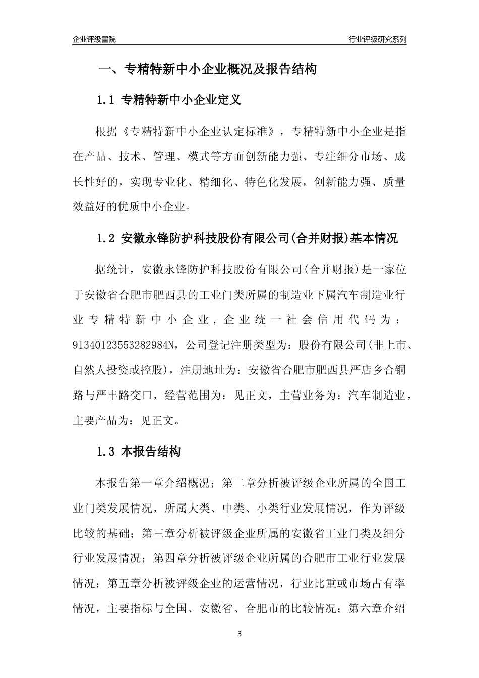[专精特新]安徽永锋防护科技股份有限公司(合并财报)行业竞争力评级分析报告(2023版)_第3页