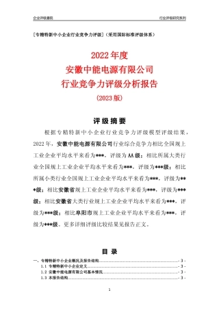 [专精特新]安徽中能电源有限公司行业竞争力评级分析报告(2023版)