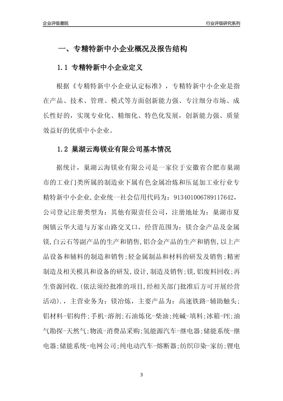 [专精特新]巢湖云海镁业有限公司行业竞争力评级分析报告(2023版)_第3页