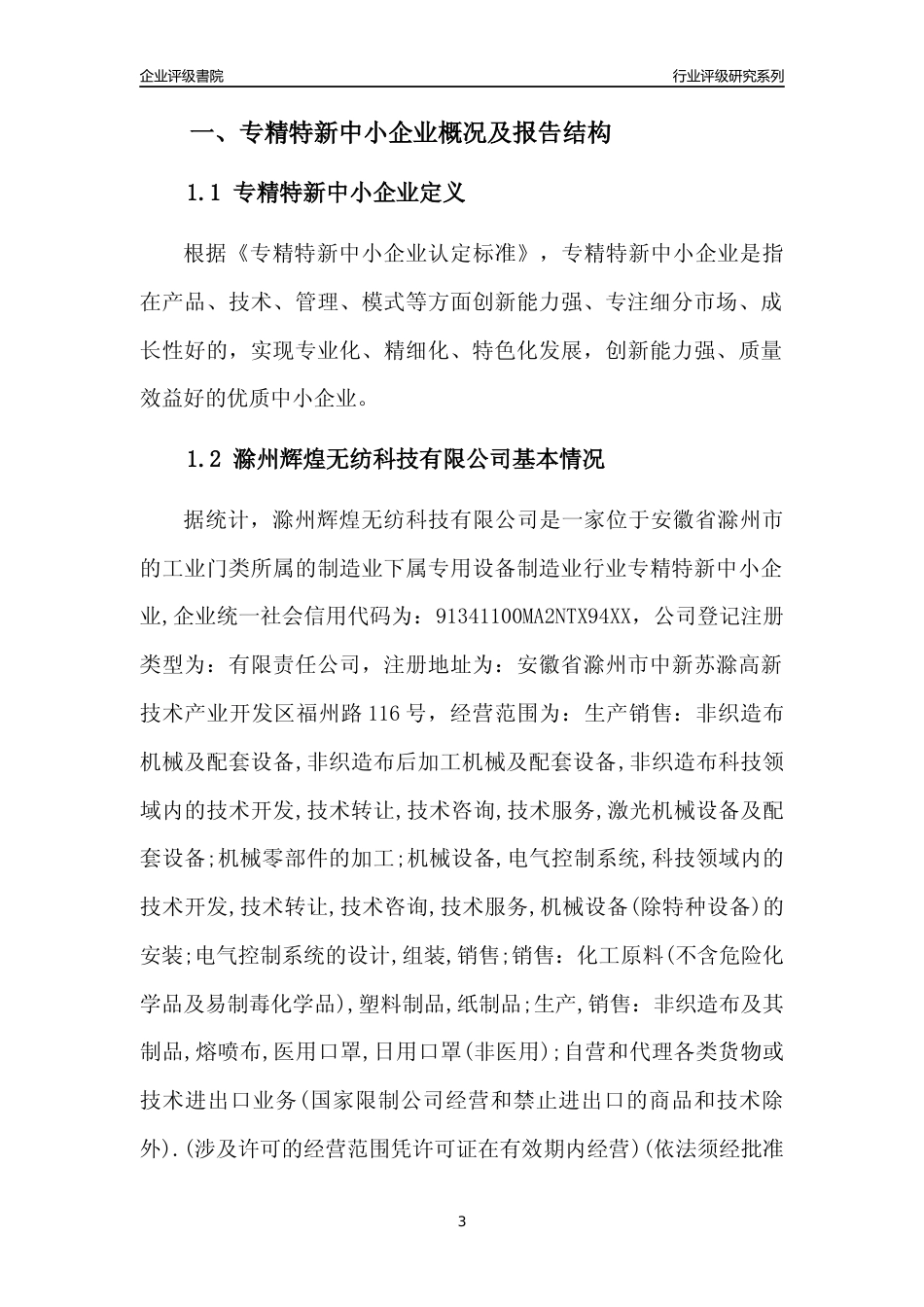 [专精特新]滁州辉煌无纺科技有限公司行业竞争力评级分析报告(2023版)_第3页
