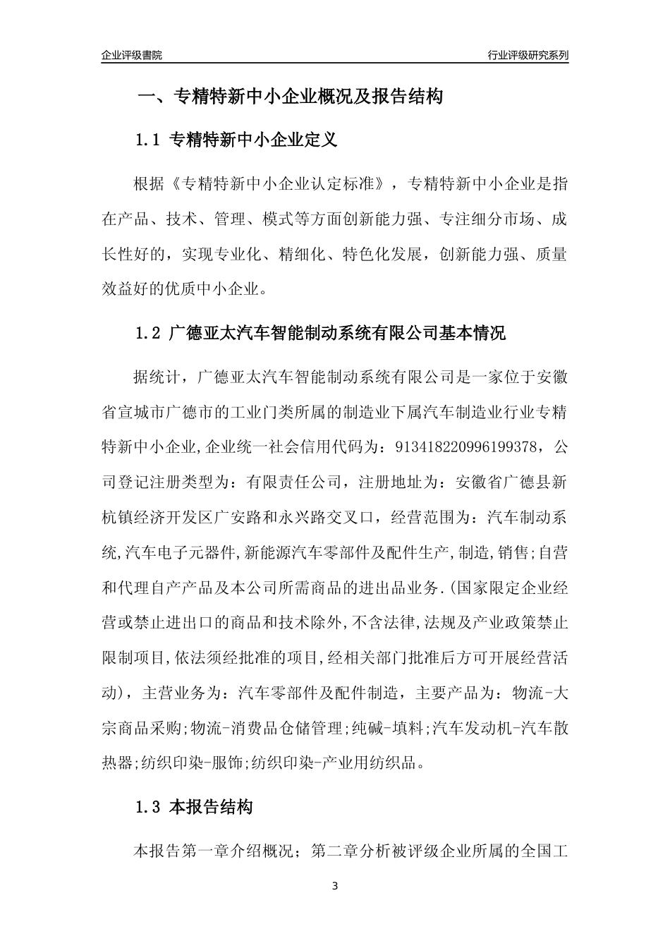 [专精特新]广德亚太汽车智能制动系统有限公司行业竞争力评级分析报告(2023版)_第3页