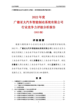 [专精特新]广德亚太汽车智能制动系统有限公司行业竞争力评级分析报告(2023版)