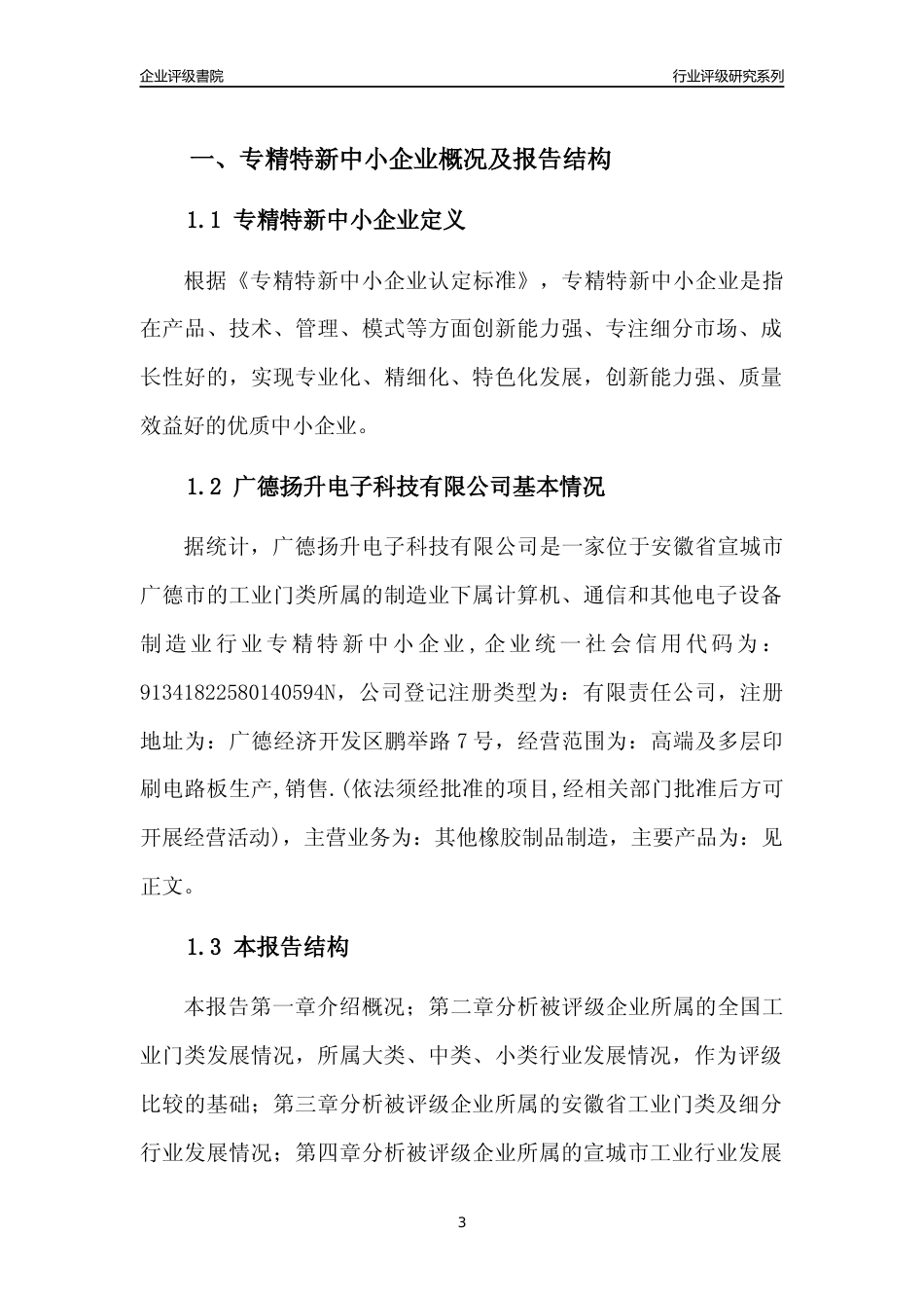 [专精特新]广德扬升电子科技有限公司行业竞争力评级分析报告(2023版)_第3页