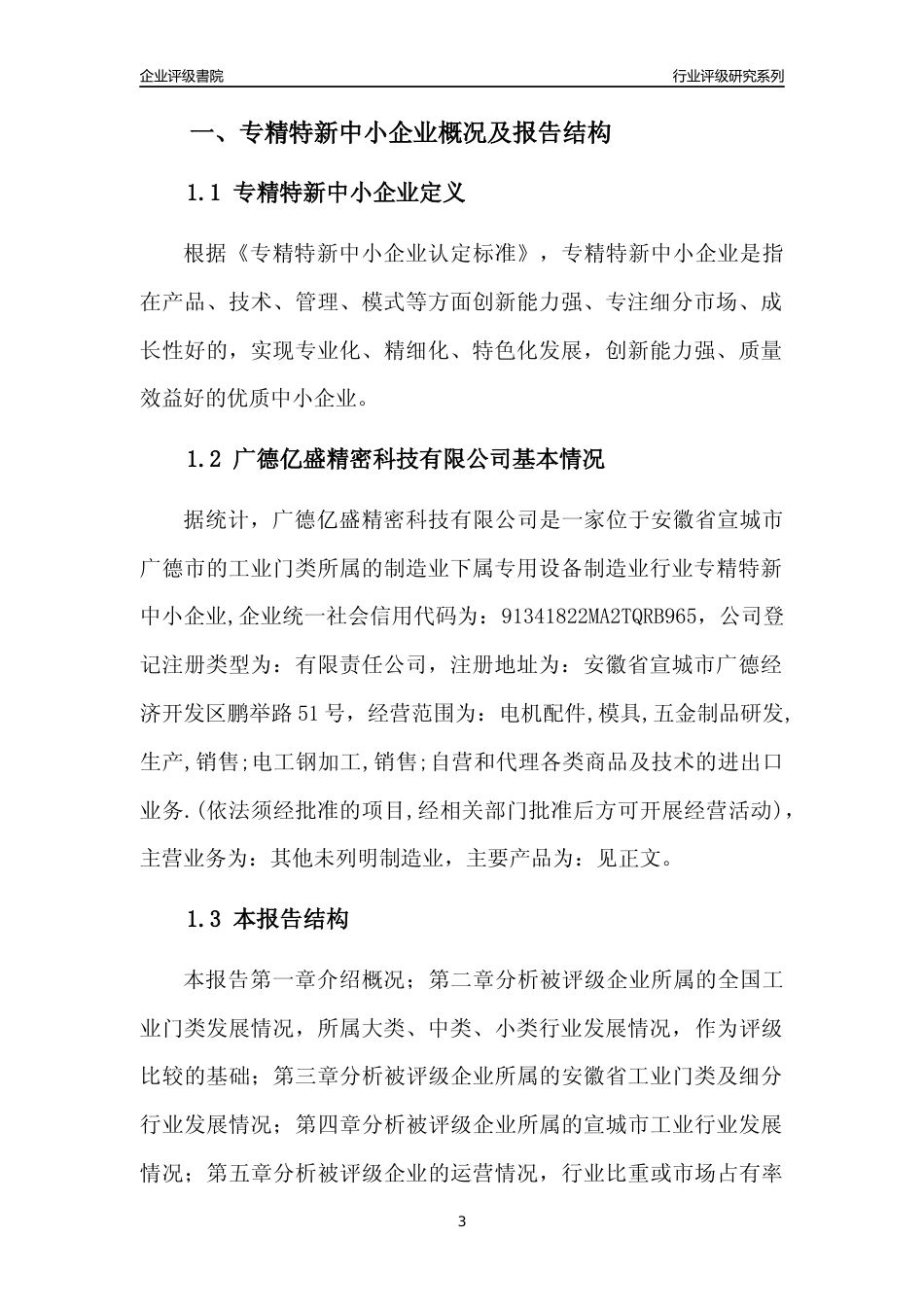 [专精特新]广德亿盛精密科技有限公司行业竞争力评级分析报告(2023版)_第3页