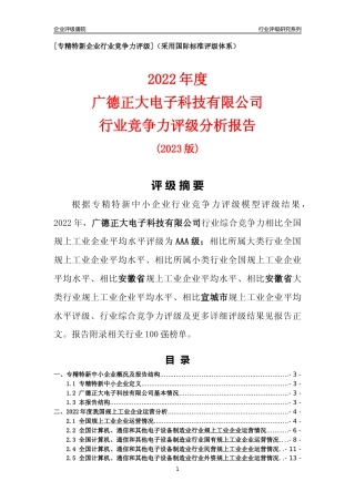 [专精特新]广德正大电子科技有限公司行业竞争力评级分析报告(2023版)
