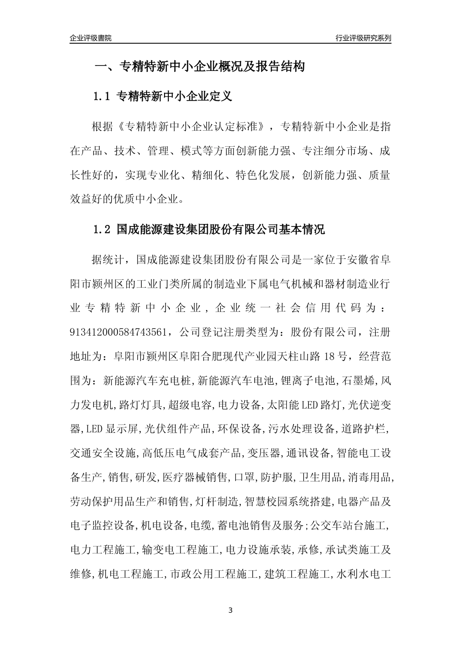 [专精特新]国成能源建设集团股份有限公司行业竞争力评级分析报告(2023版)_第3页