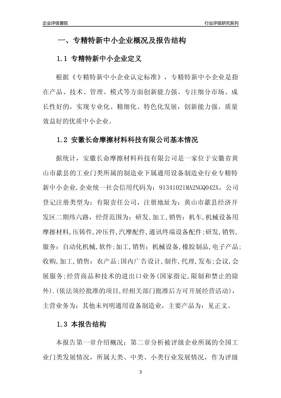 [专精特新]安徽长命摩擦材料科技有限公司行业竞争力评级分析报告(2023版)_第3页