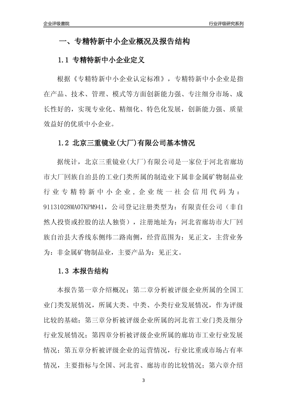 [专精特新]北京三重镜业(大厂)有限公司行业竞争力评级分析报告(2023版)_第3页