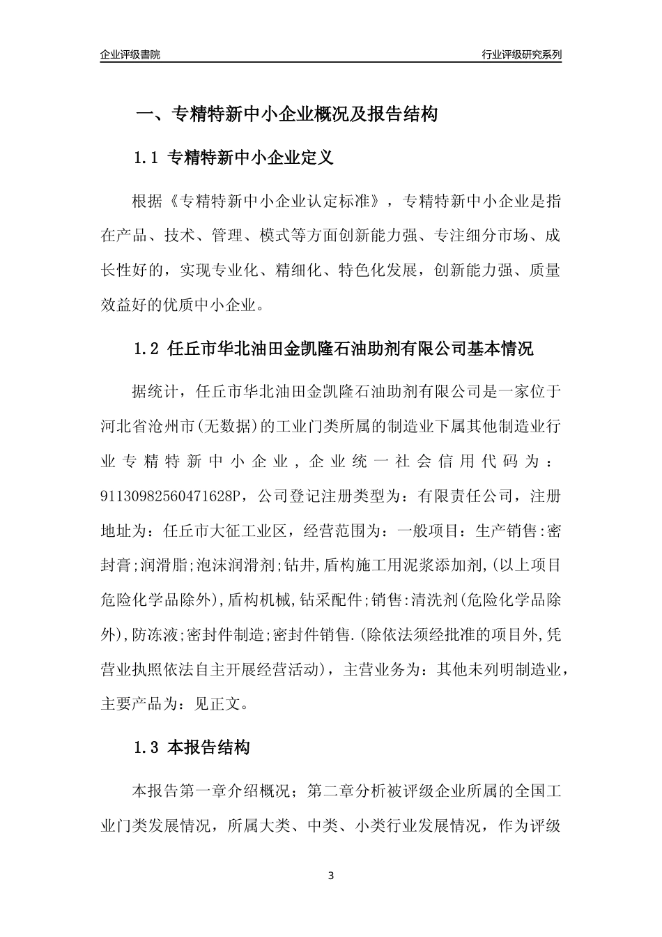 [专精特新]任丘市华北油田金凯隆石油助剂有限公司行业竞争力评级分析报告(2023版)_第3页