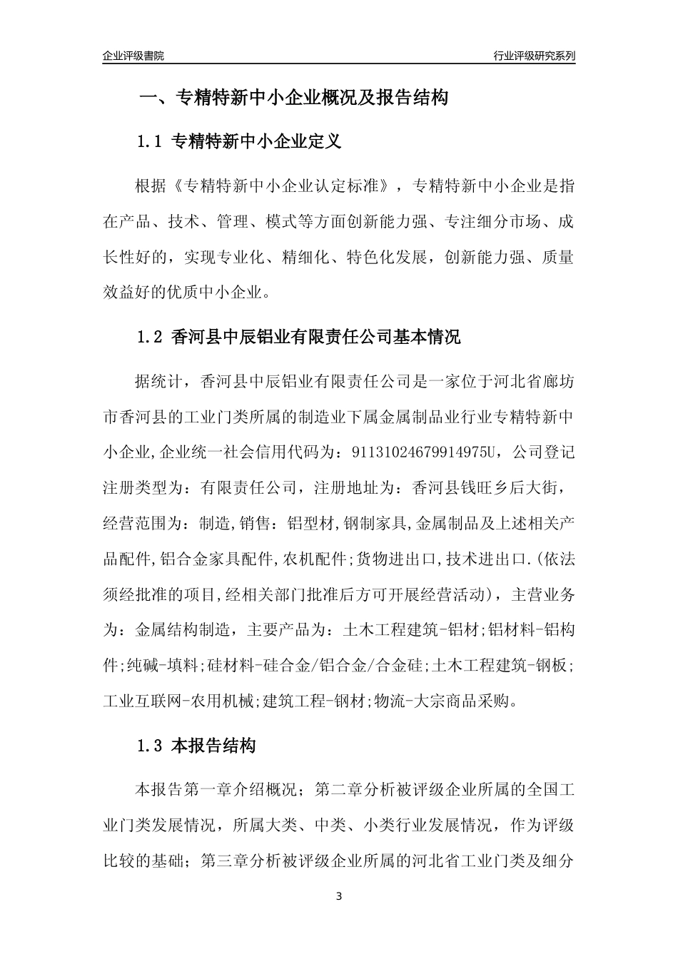 [专精特新]香河县中辰铝业有限责任公司行业竞争力评级分析报告(2023版)_第3页