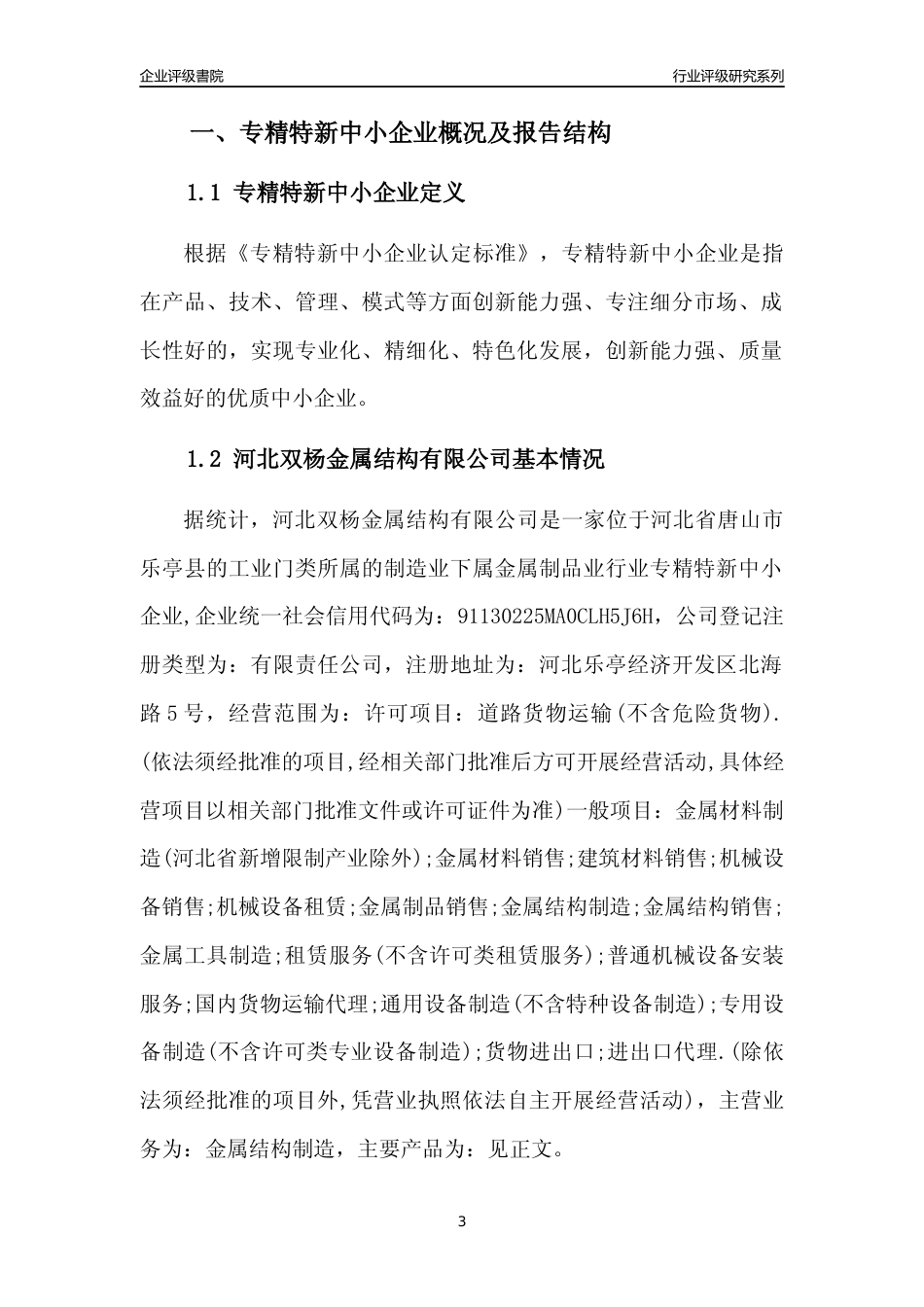 [专精特新]河北双杨金属结构有限公司行业竞争力评级分析报告(2023版)_第3页