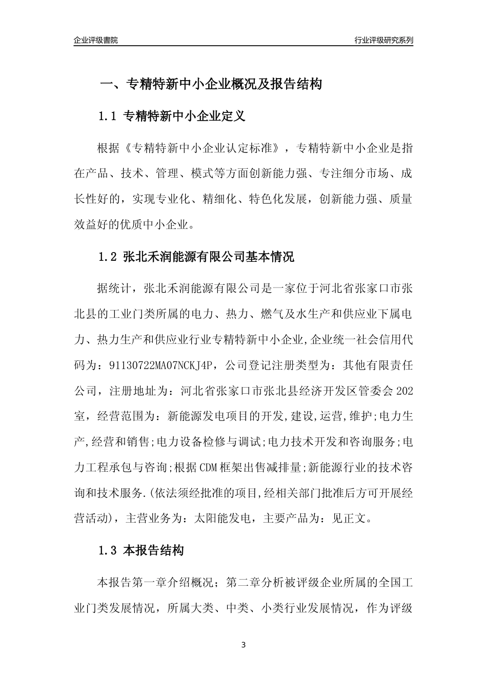 [专精特新]张北禾润能源有限公司行业竞争力评级分析报告(2023版)_第3页