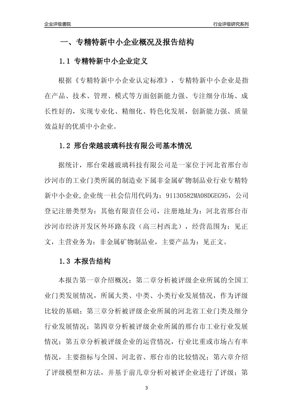 [专精特新]邢台荣越玻璃科技有限公司行业竞争力评级分析报告(2023版)_第3页