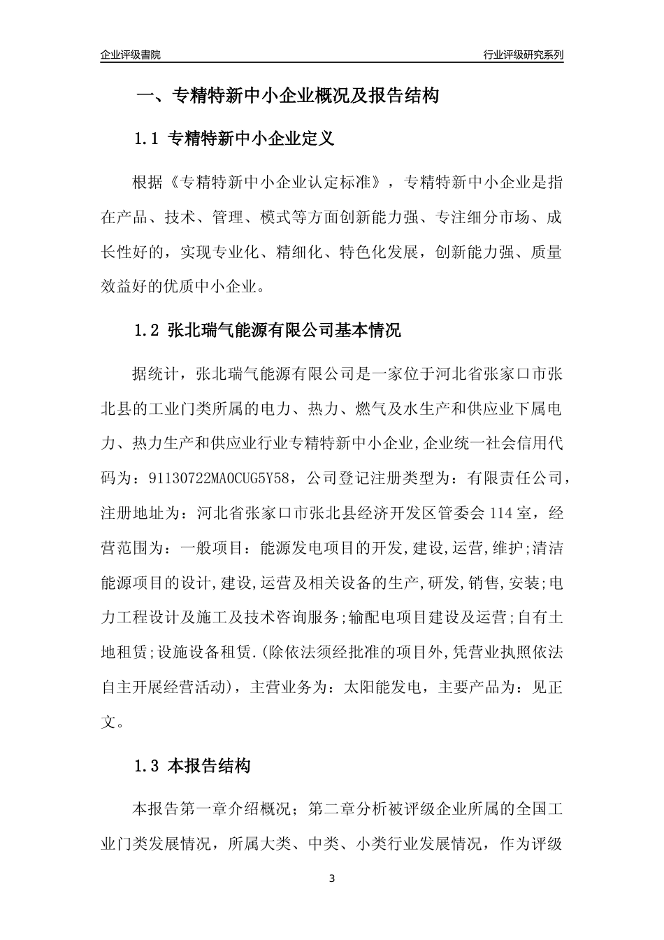 [专精特新]张北瑞气能源有限公司行业竞争力评级分析报告(2023版)_第3页