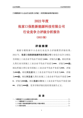 [专精特新]张家口保胜新能源科技有限公司行业竞争力评级分析报告(2023版)