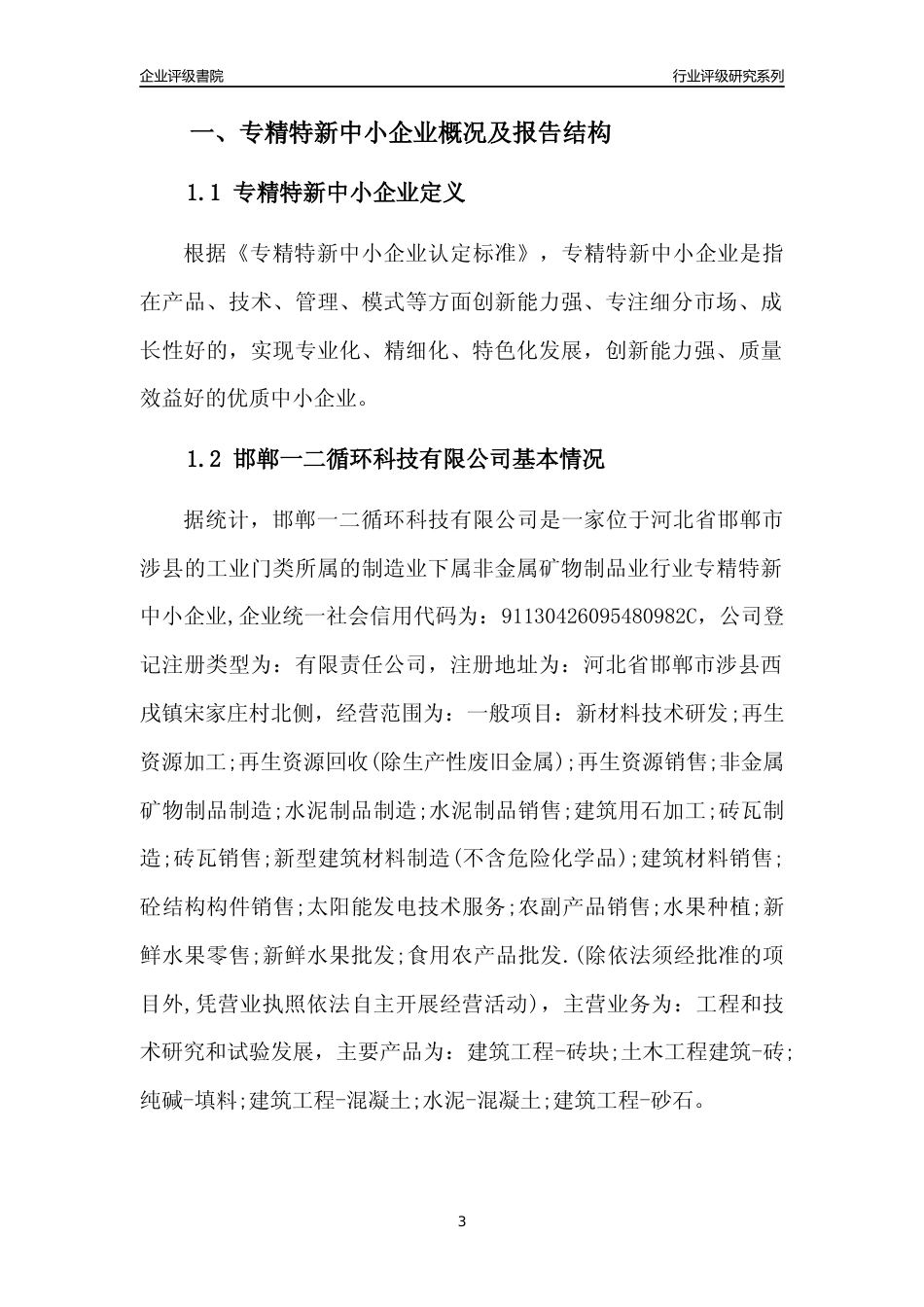 [专精特新]邯郸一二循环科技有限公司行业竞争力评级分析报告(2023版)_第3页