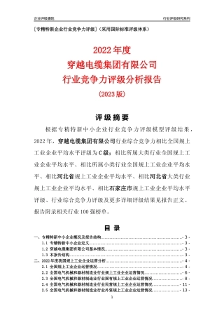 [专精特新]穿越电缆集团有限公司行业竞争力评级分析报告(2023版)