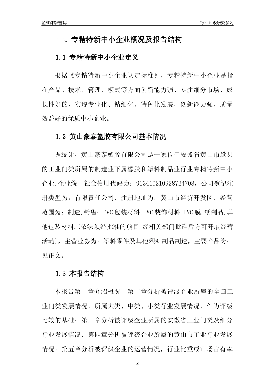 [专精特新]黄山豪泰塑胶有限公司行业竞争力评级分析报告(2023版)_第3页