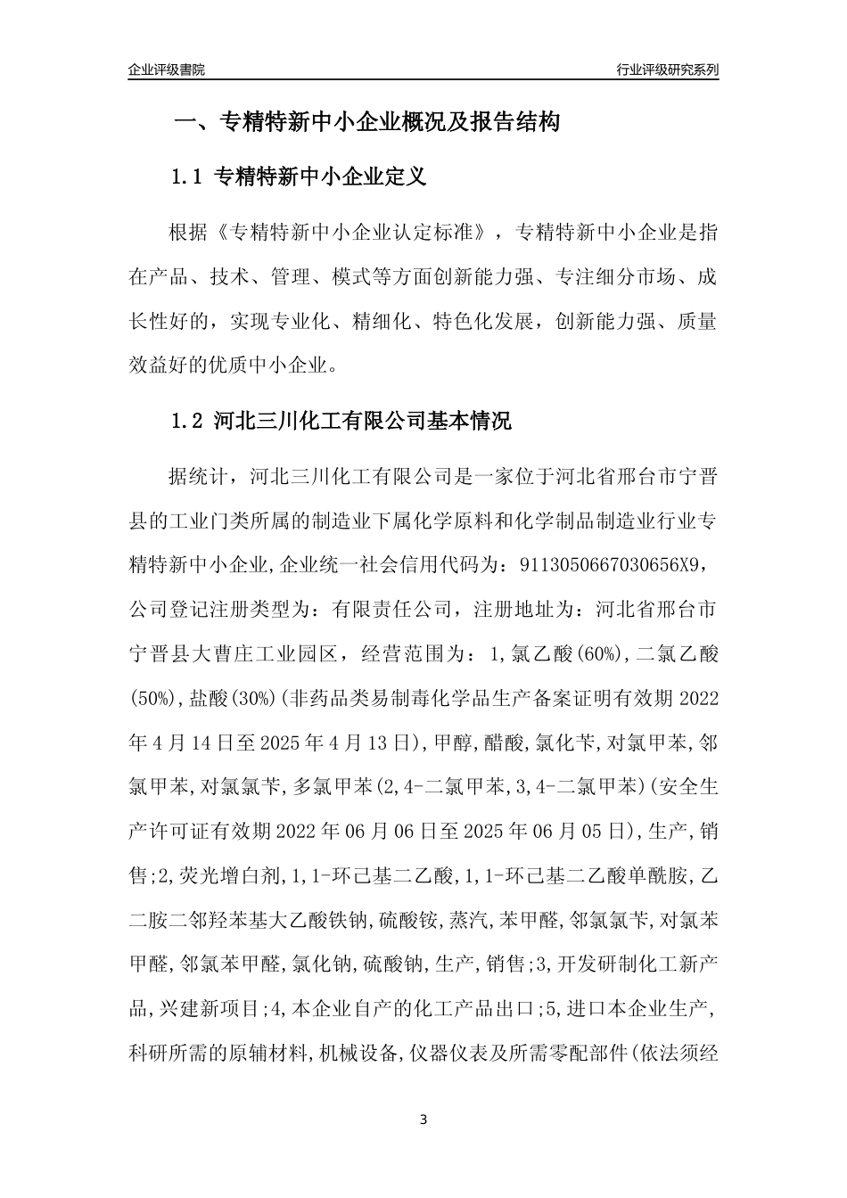 [专精特新]河北三川化工有限公司行业竞争力评级分析报告(2023版)_第3页