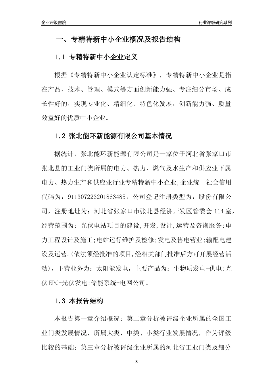 [专精特新]张北能环新能源有限公司行业竞争力评级分析报告(2023版)_第3页