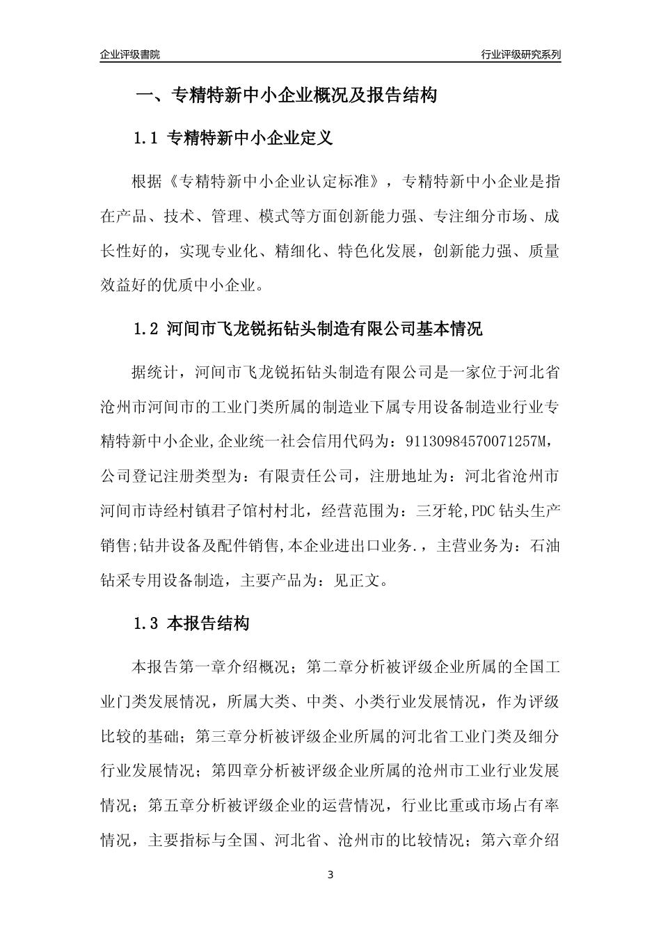 [专精特新]河间市飞龙锐拓钻头制造有限公司行业竞争力评级分析报告(2023版)_第3页