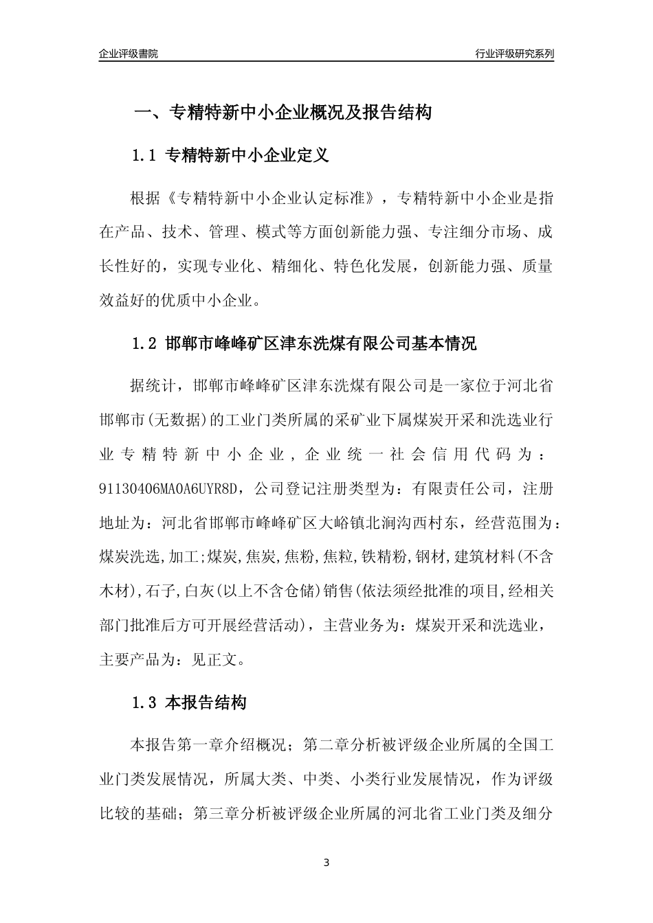 [专精特新]邯郸市峰峰矿区津东洗煤有限公司行业竞争力评级分析报告(2023版)_第3页