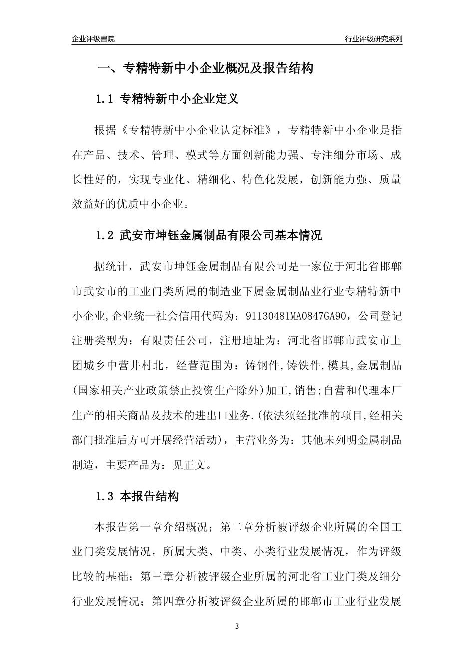 [专精特新]武安市坤钰金属制品有限公司行业竞争力评级分析报告(2023版)_第3页