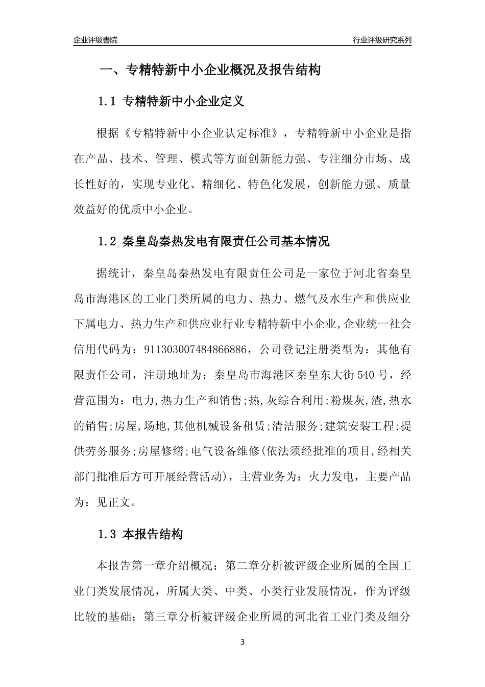 [专精特新]秦皇岛秦热发电有限责任公司行业竞争力评级分析报告(2023版)_第3页