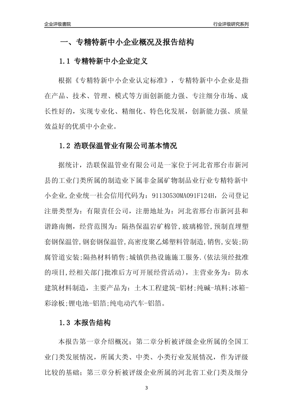 [专精特新]浩联保温管业有限公司行业竞争力评级分析报告(2023版)_第3页