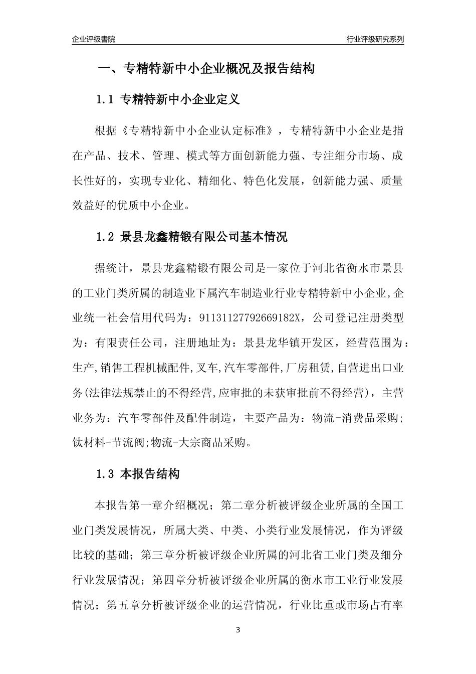 [专精特新]景县龙鑫精锻有限公司行业竞争力评级分析报告(2023版)_第3页