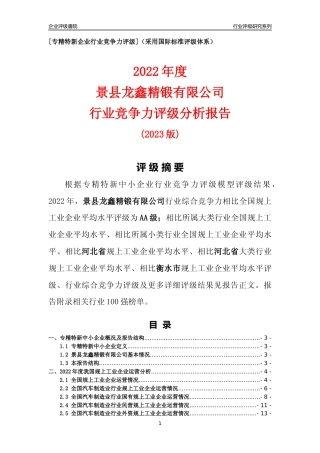 [专精特新]景县龙鑫精锻有限公司行业竞争力评级分析报告(2023版)
