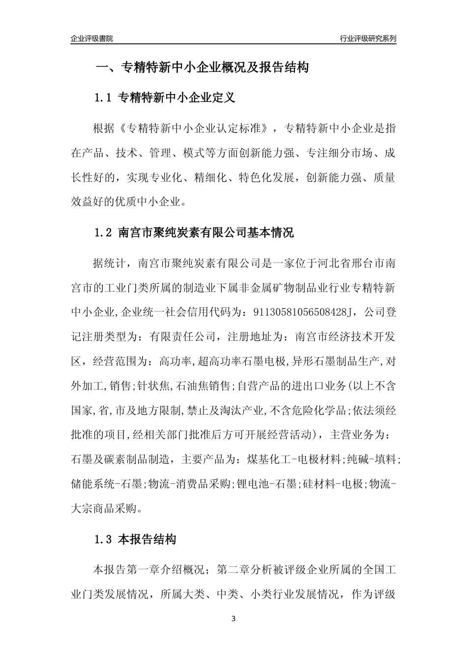 [专精特新]南宫市聚纯炭素有限公司行业竞争力评级分析报告(2023版)_第3页
