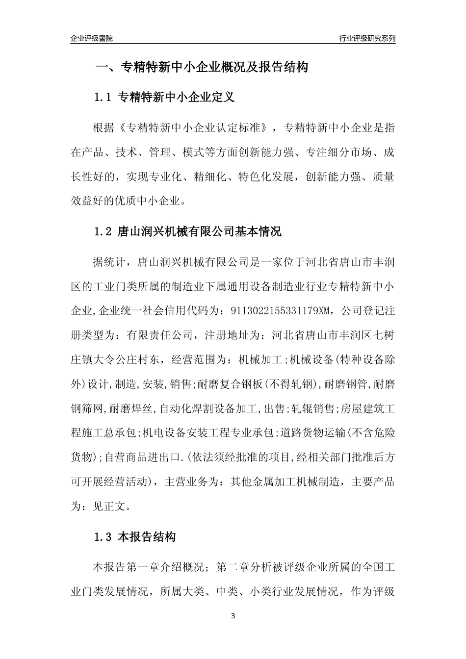 [专精特新]唐山润兴机械有限公司行业竞争力评级分析报告(2023版)_第3页