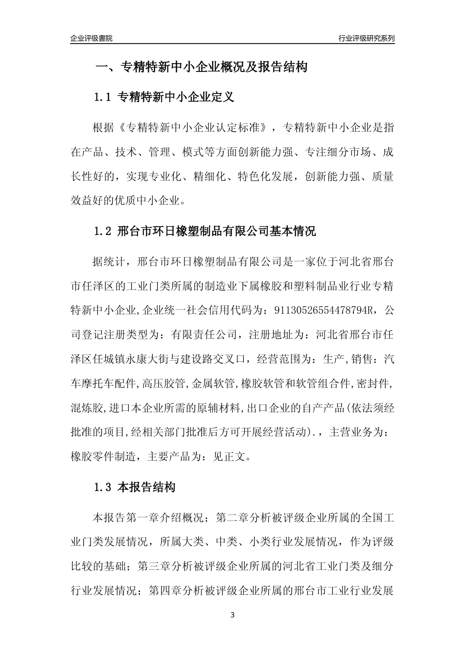 [专精特新]邢台市环日橡塑制品有限公司行业竞争力评级分析报告(2023版)_第3页